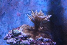 IMG_6996.jpg