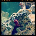 IMG_20120513_120952.jpg