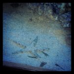 IMG_20120506_224121.jpg