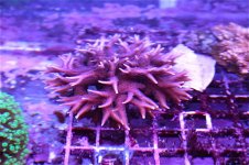 IMG_4235.jpg