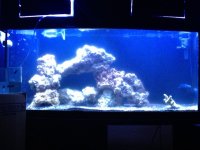 72G.JPG