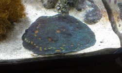 IMAG0188.jpg