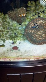 2012-02-13_21-01-26_336.jpg