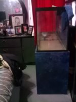IMAG0641.jpg