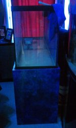 IMAG0644.jpg
