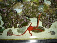 DSC01411.JPG