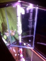 IMG-20110401-00305.jpg