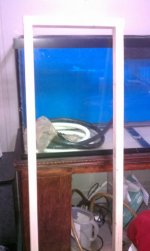IMAG0794.jpg