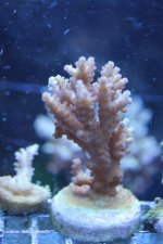 IMG_4853.jpg
