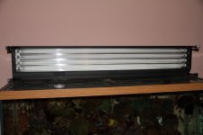 IMG_1949.jpg