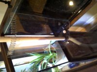 IMG-20110130-01055.jpg