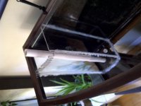 IMG-20110131-01062.jpg