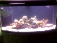 IMG-20110516-00498.jpg