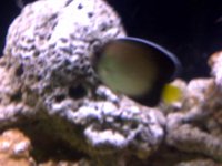 IMG-20110615-00665.jpg