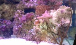 IMAG0892.jpg