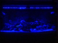 IMG-20120201-00054.jpg