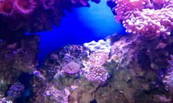 IMAG0908.jpg