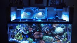2012-05-19_12-17-41_620.jpg