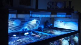 2012-05-19_12-17-26_147.jpg