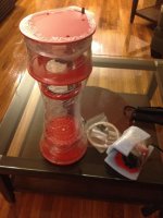 ImageUploadedByReefs1332034279.370218.jpg