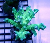 assorted_$180ea (2).jpg