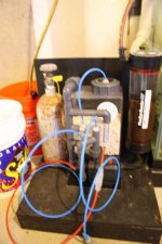 IMG_6289.jpg