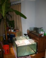 DEC2011 159.jpg