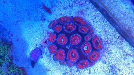 IMAG0353-1.jpg