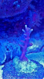 IMAG0346.jpg