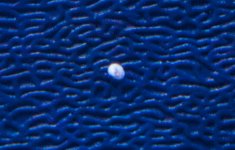 IMG_6284.jpg