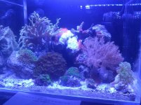 IMG_20120315_003859.jpg