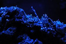 DSC_0221_01.jpg