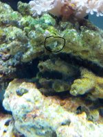 IMG_20120701_011624.jpg