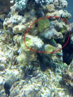 IMG_20120701_011659.jpg