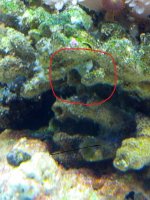 IMG_20120701_011726.jpg