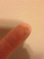 ImageUploadedByTapatalk1341156178.862933.jpg