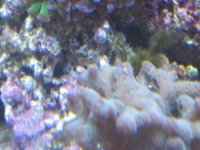 IMG_0092.jpg