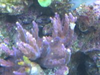 IMG_0093.jpg