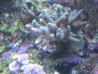 IMG_0095.jpg