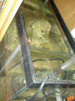 2012-07-01_10-22-10_867.jpg