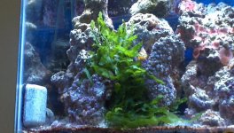 2012-06-30_16-19-12_836.jpg