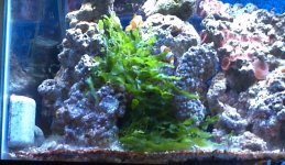 2012-06-30_16-38-13_976.jpg