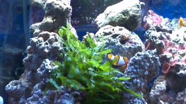 2012-06-30_16-38-18_401.jpg