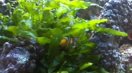 2012-06-30_21-06-02_296.jpg