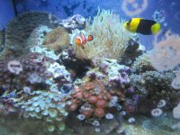 IMG_0187.jpg
