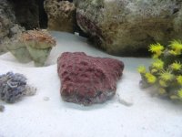 DSC00175.jpg