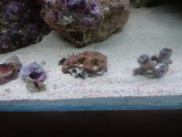 DSC00178.jpg