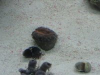 DSC00179.jpg