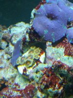 IMG_20120704_121603.jpg
