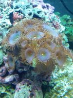 IMG_20120704_121626.jpg